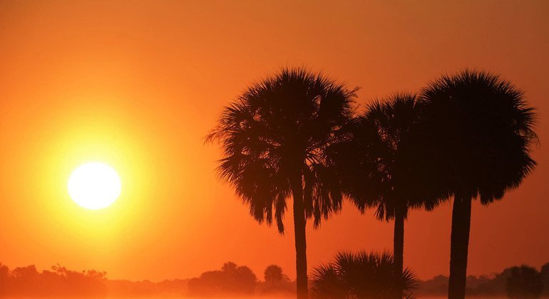 Climat : 2021 a été l’une des sept années les plus chaudes jamais observées (OMM)